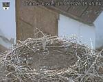 Capi_Dubne_20260815_194504.jpg