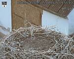 Capi_Dubne_20260815_195503.jpg