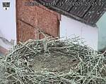 Capi_Dubne_20260815_202502.jpg
