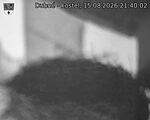 Capi_Dubne_20260815_214002.jpg