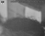 Capi_Dubne_20260815_215502.jpg