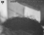 Capi_Dubne_20260815_220503.jpg