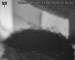 Capi_Dubne_20260815_224002.jpg