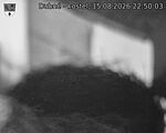 Capi_Dubne_20260815_225003.jpg