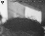 Capi_Dubne_20260815_225502.jpg