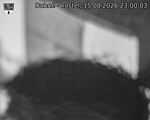 Capi_Dubne_20260815_230003.jpg