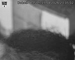 Capi_Dubne_20260815_230502.jpg