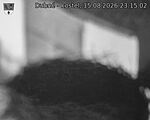 Capi_Dubne_20260815_231502.jpg