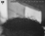Capi_Dubne_20260816_000503.jpg