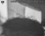 Capi_Dubne_20260816_001003.jpg