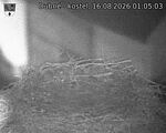 Capi_Dubne_20260816_010503.jpg