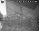 Capi_Dubne_20260816_022002.jpg