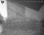 Capi_Dubne_20260816_031003.jpg