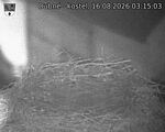 Capi_Dubne_20260816_031503.jpg