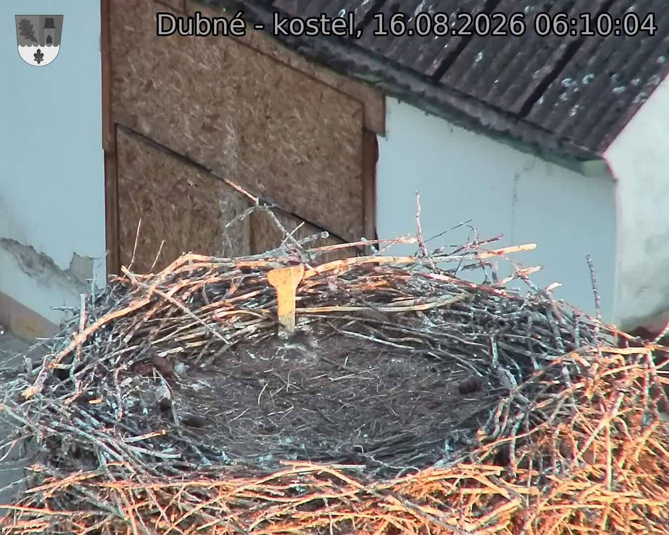 Capi_Dubne_20260816_061004.jpg (1350&nbsp;x&nbsp;1080)