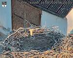 Capi_Dubne_20260816_062003.jpg