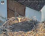 Capi_Dubne_20260816_063003.jpg