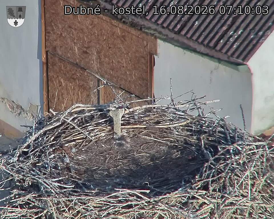 Capi_Dubne_20260816_071003.jpg (1350&nbsp;x&nbsp;1080)