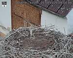 Capi_Dubne_20260816_090004.jpg