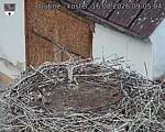Capi_Dubne_20260816_090504.jpg