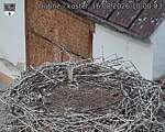 Capi_Dubne_20260816_100003.jpg
