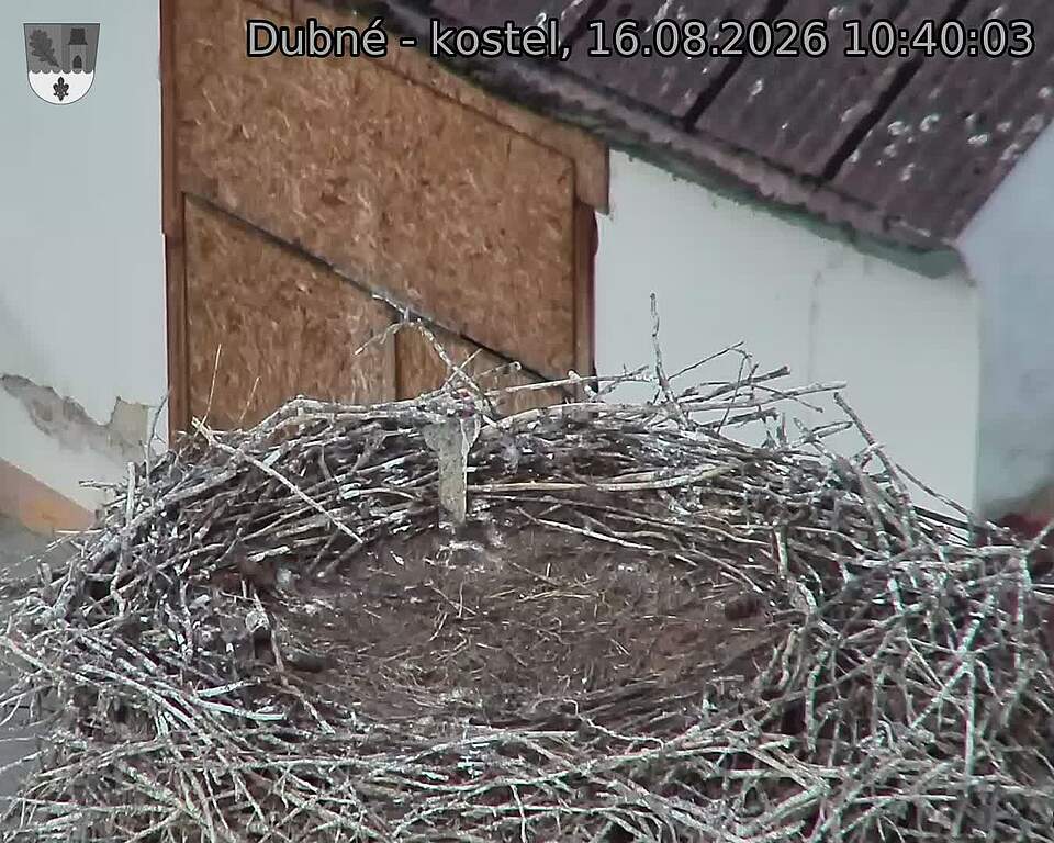 preload