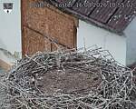 Capi_Dubne_20260816_105502.jpg