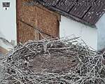 Capi_Dubne_20260816_113503.jpg