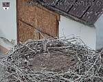 Capi_Dubne_20260816_115002.jpg