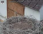 Capi_Dubne_20260816_121503.jpg