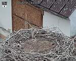 Capi_Dubne_20260816_130503.jpg