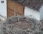 Capi_Dubne_20260816_131502.jpg