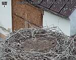 Capi_Dubne_20260816_133003.jpg