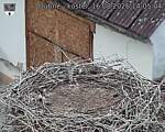 Capi_Dubne_20260816_140504.jpg