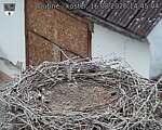 Capi_Dubne_20260816_144504.jpg
