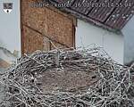 Capi_Dubne_20260816_145504.jpg