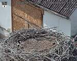 Capi_Dubne_20260816_151504.jpg