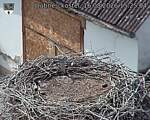 Capi_Dubne_20260816_152504.jpg