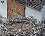 Capi_Dubne_20260816_154502.jpg