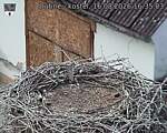 Capi_Dubne_20260816_163503.jpg