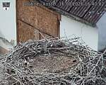 Capi_Dubne_20260816_164002.jpg