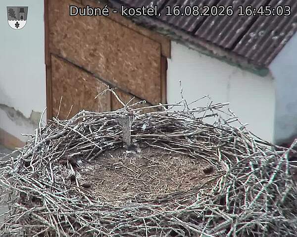 preload