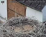 Capi_Dubne_20260816_180504.jpg