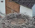 Capi_Dubne_20260816_183503.jpg
