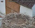 Capi_Dubne_20260816_194002.jpg