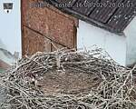 Capi_Dubne_20260816_200503.jpg