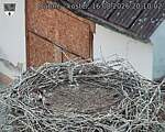 Capi_Dubne_20260816_201002.jpg