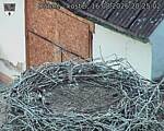 Capi_Dubne_20260816_202502.jpg