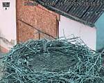 Capi_Dubne_20260816_203003.jpg