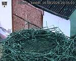 Capi_Dubne_20260816_203503.jpg